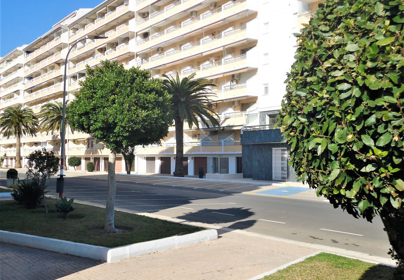 Estudio en Peñiscola - Peñismar I Estudio LEK