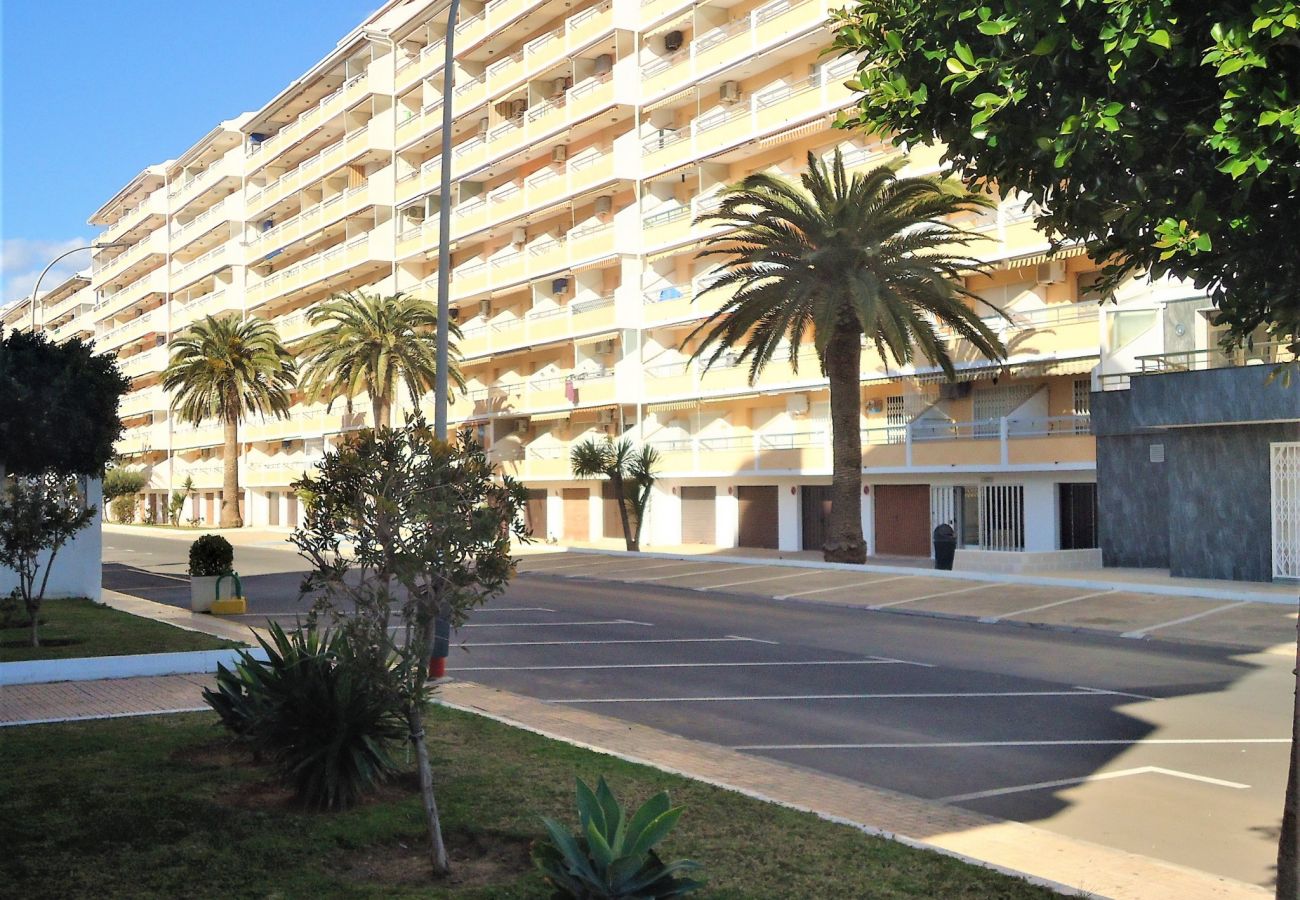 Estudio en Peñiscola - Peñismar I Estudio LEK