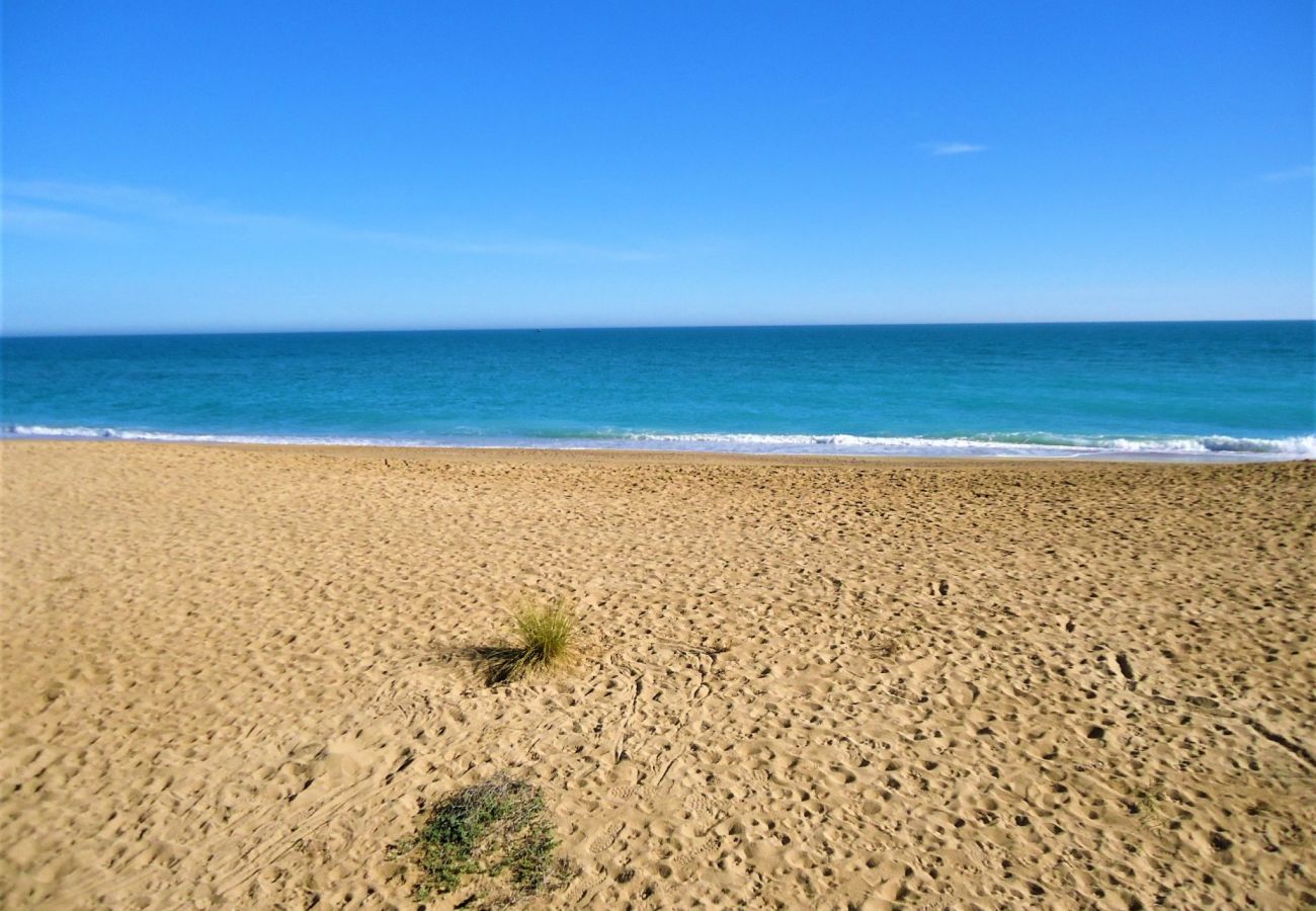 Estudio en Peñiscola - Peñismar I Estudio LEK