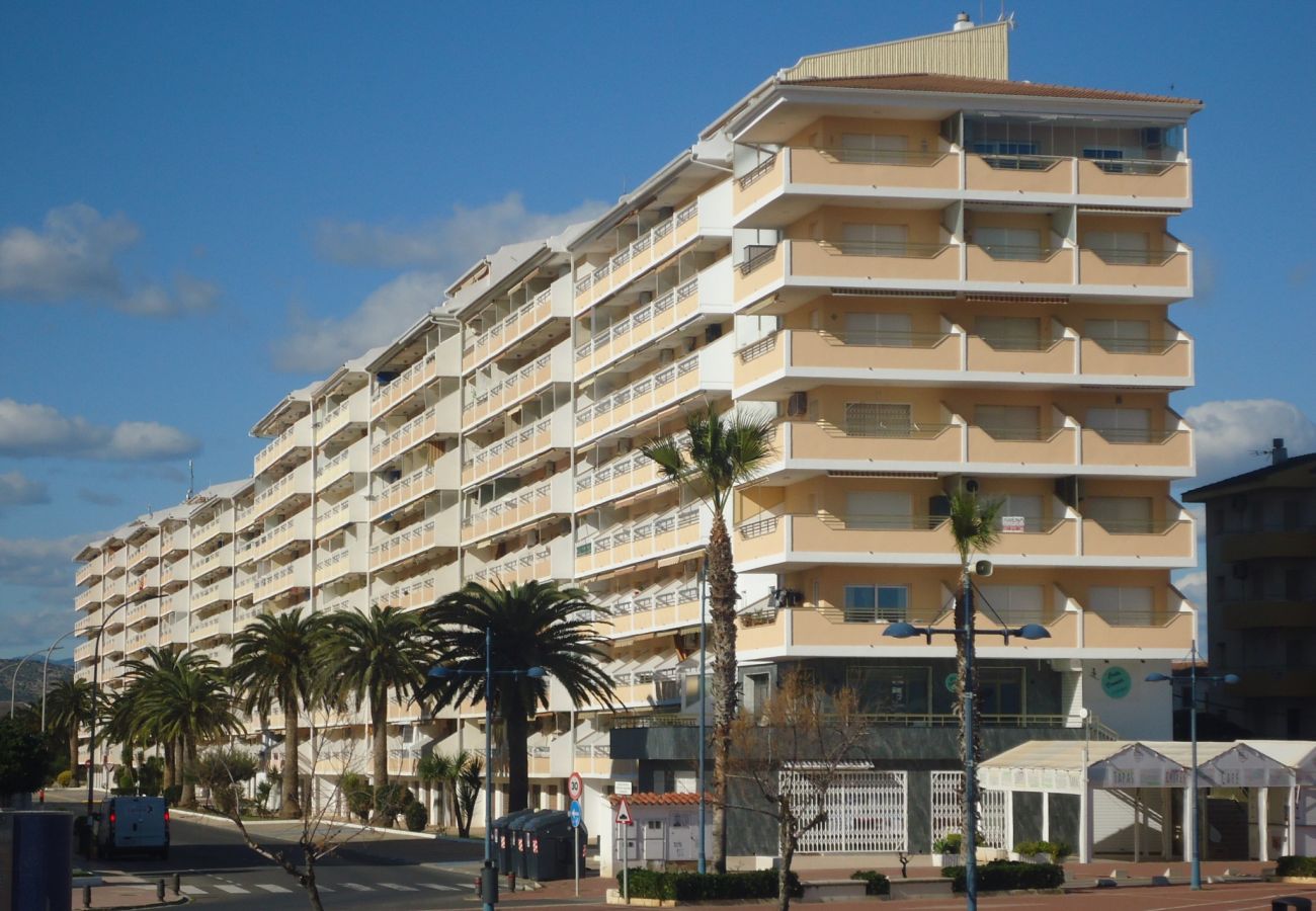 Estudio en Peñiscola - Peñismar I Estudio LEK