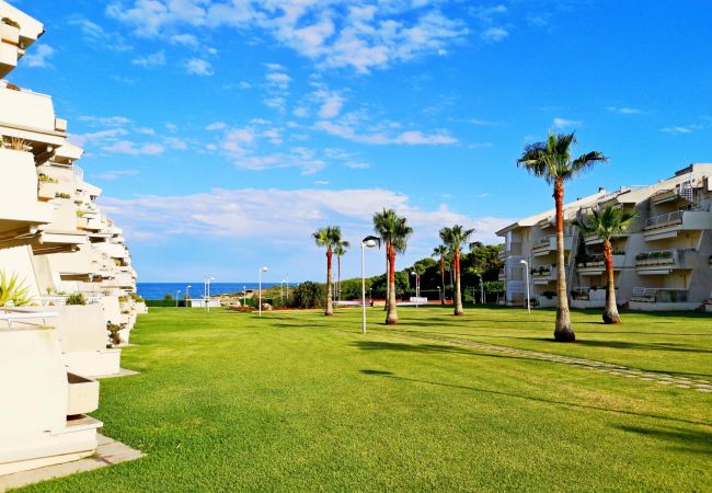 Apartamento en Alcoceber / Alcossebre - ALCALA BLAU IV 123 Bajo con terraza Alcossebre Apartamento en Alcoceber / Alcossebre - ALCALA BLAU IV 123 Bajo con terraza Alcossebre