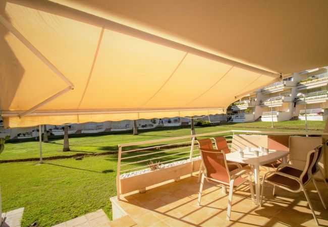 Apartamento en Alcoceber / Alcossebre - ALCALA BLAU IV 123 Bajo con terraza Alcossebre