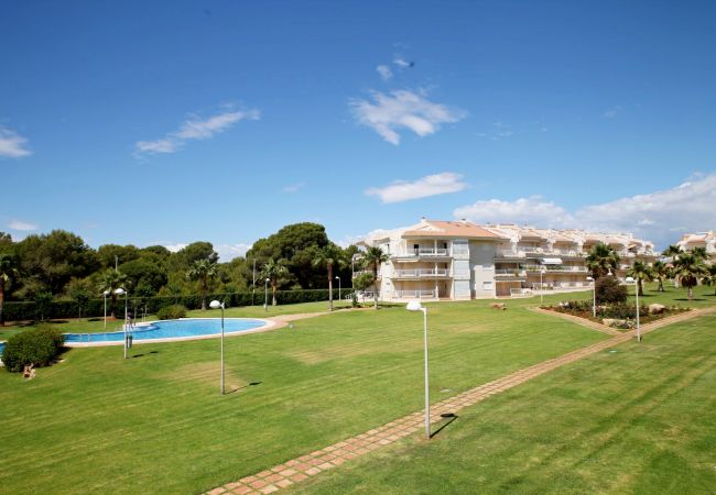 Apartamento en Alcoceber / Alcossebre - ALCALA BLAU IV 123 Bajo con terraza Alcossebre Apartamento en Alcoceber / Alcossebre - ALCALA BLAU IV 123 Bajo con terraza Alcossebre