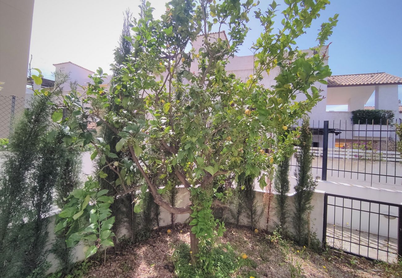 Apartamento en Alcoceber / Alcossebre - BAJO CON TERRAZA PARQUE AZAHAR Alcoceber