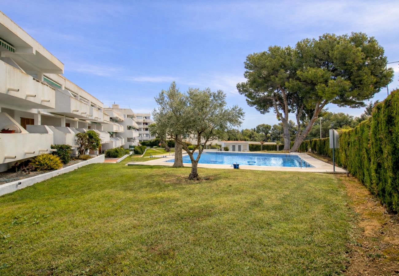 Apartamento en Alcoceber / Alcossebre - Apartamento de 3 dormitorios y piscina LAS FUENTES