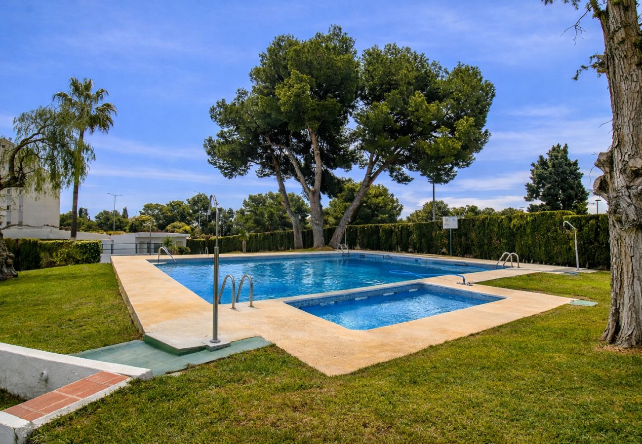 Estudio en Alcoceber / Alcossebre - Estudio con piscina - Playa las Fuentes