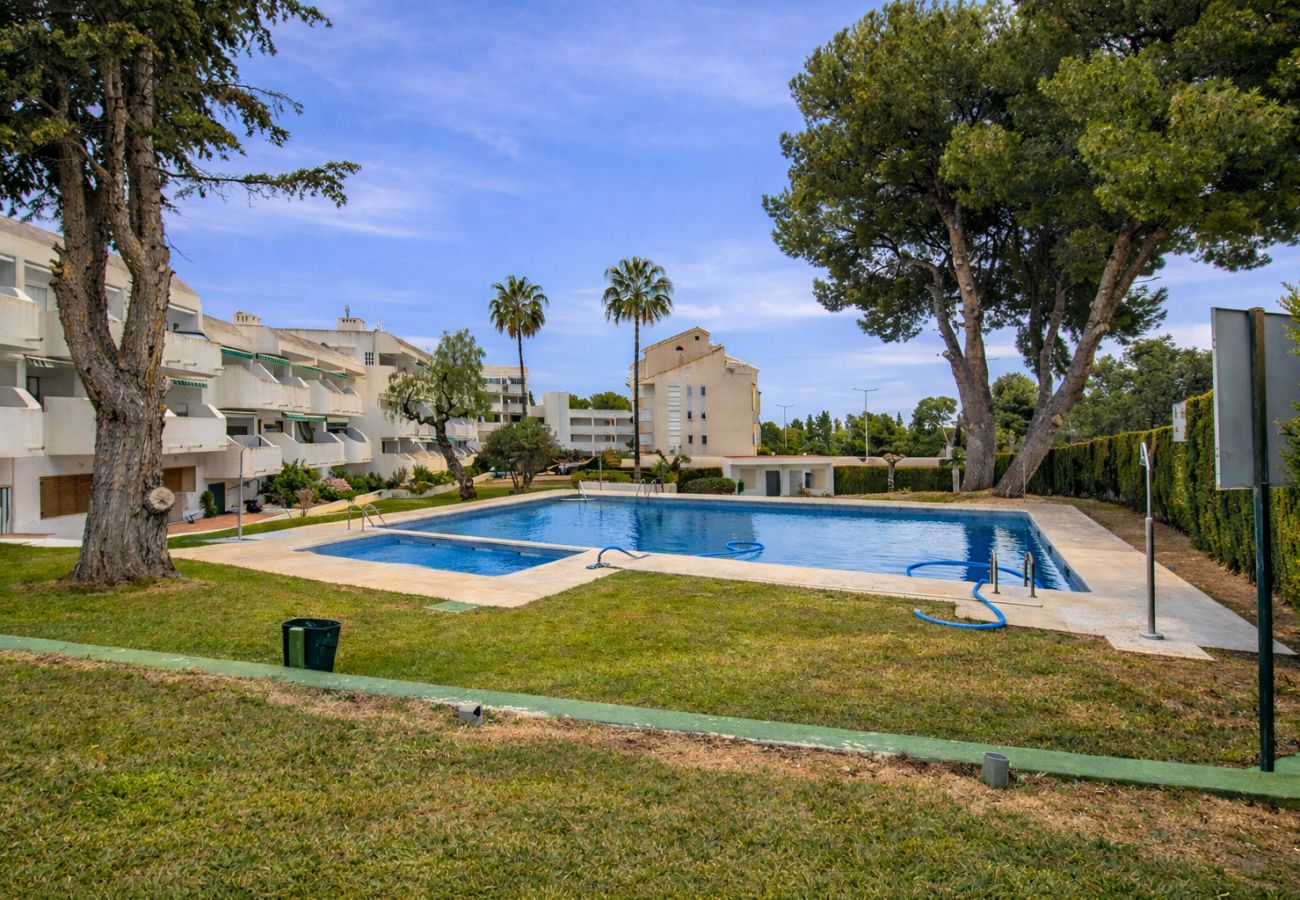 Estudio en Alcoceber / Alcossebre - Estudio con piscina - Playa las Fuentes