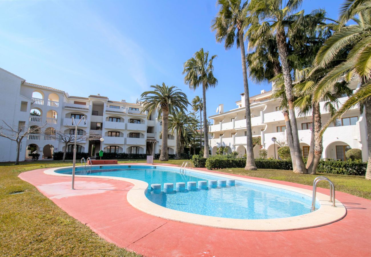 Ferienwohnung in Alcoceber - Apartamento frente al mar con terraza PLAYA ROMANA