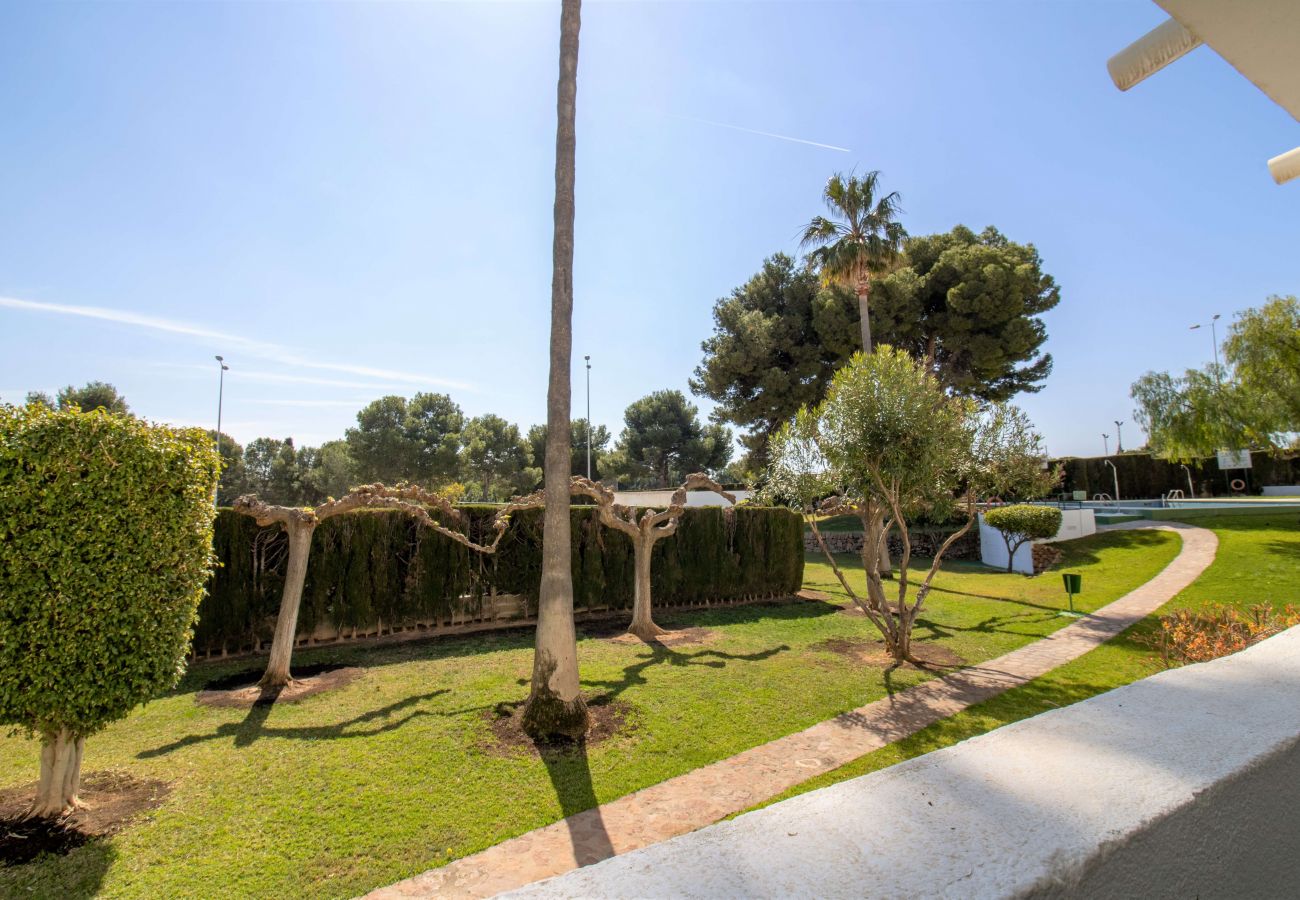 Ferienwohnung in Alcoceber - Bajo con terraza y piscina PLAYA LAS FUENTES