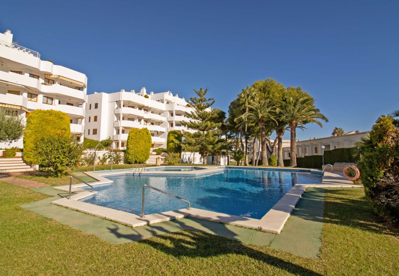 Ferienwohnung in Alcoceber - Apartamento Meridia - Playa las Fuentes