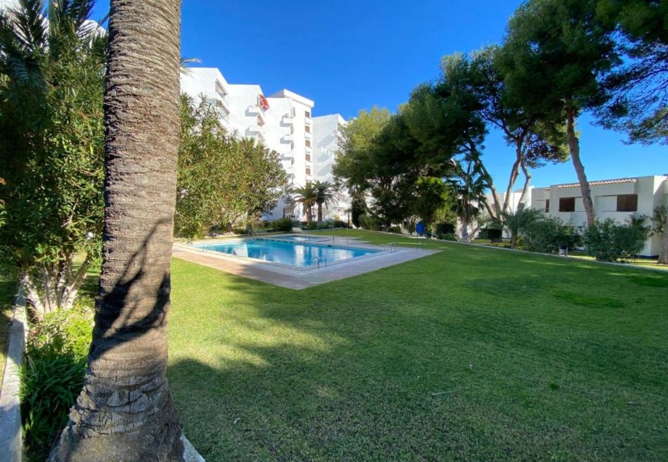 Ferienwohnung in Alcoceber - Marina - Apartamento junto al puerto deportivo