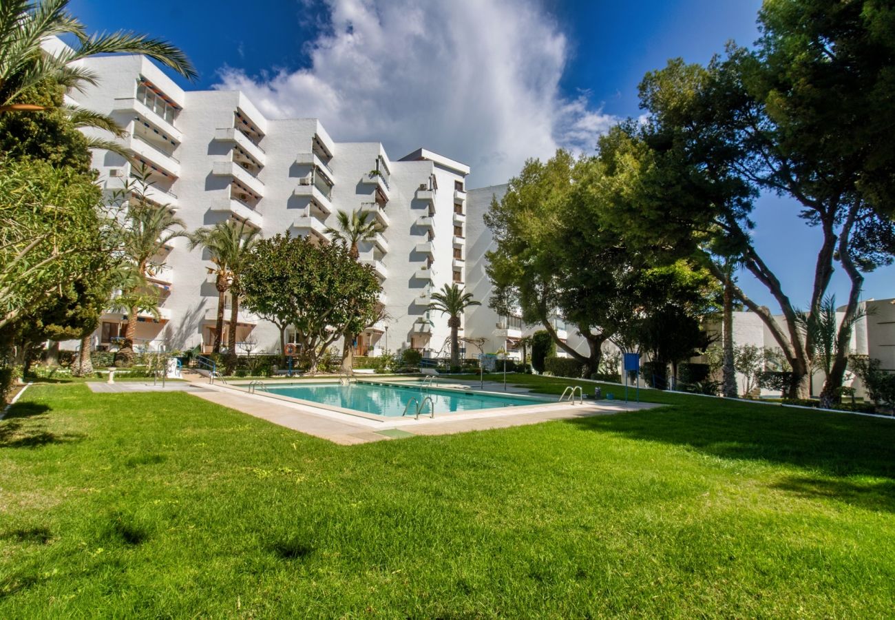 Ferienwohnung in Alcoceber - Marina - Apartamento junto al puerto deportivo