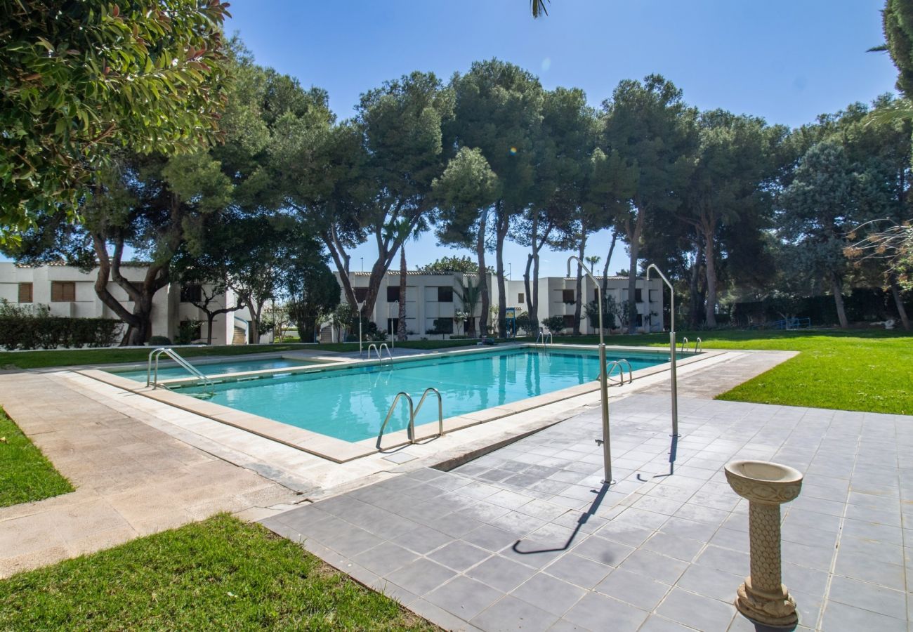 Ferienwohnung in Alcoceber - Marina - Apartamento junto al puerto deportivo