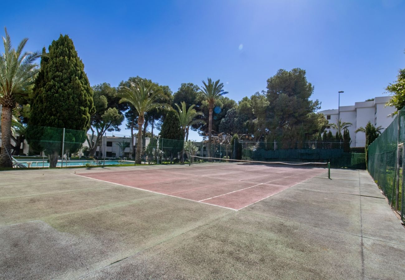 Ferienwohnung in Alcoceber - Marina - Apartamento junto al puerto deportivo