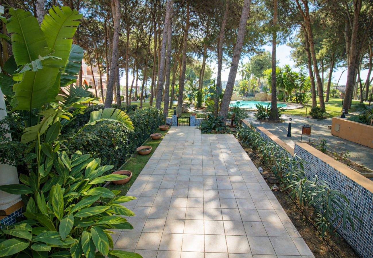 Ferienhaus in Alcoceber - Luxury Casa en PRIMERA LINEA Alcossebre