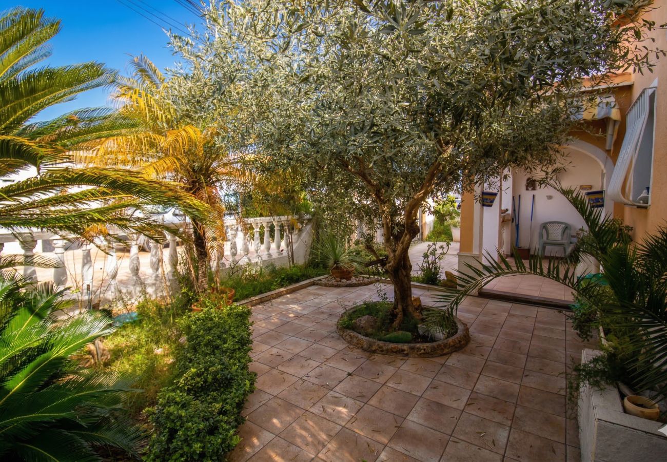 Villa in Alcoceber - Villa Tropicana - Alcossebre