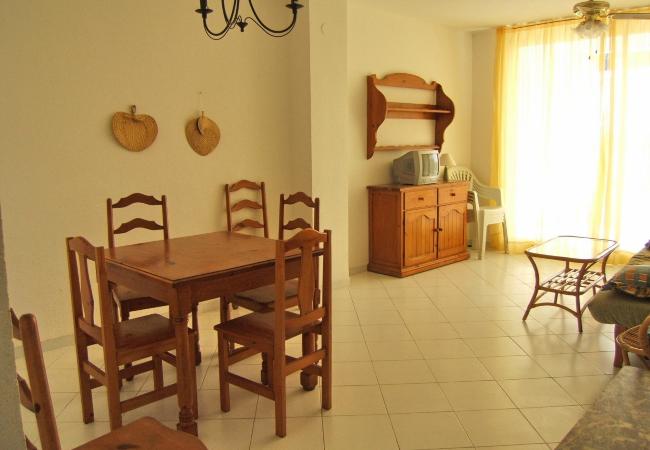 Apartment in Alcocebre / Alcossebre - NOVA ROMANA I 214 ALCOCEBRE