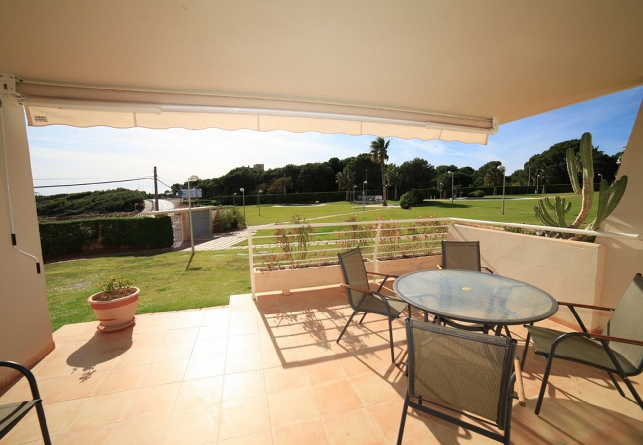 Apartment in Alcocebre / Alcossebre - ALCALA BLAU III 84 Planta baja Alcossebre