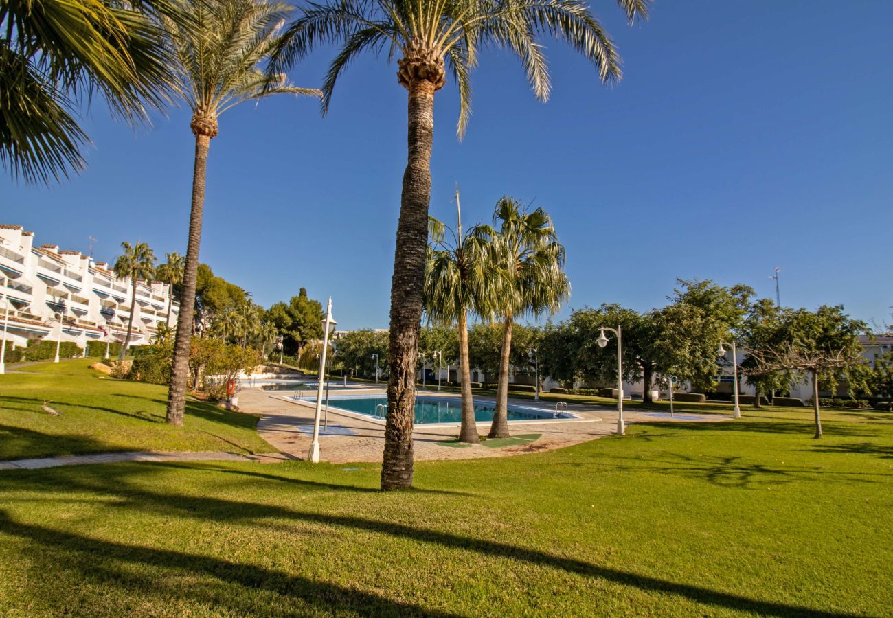 Apartment in Alcocebre / Alcossebre - Jardines del Puerto FRONTAL AL MAR Alcoceber