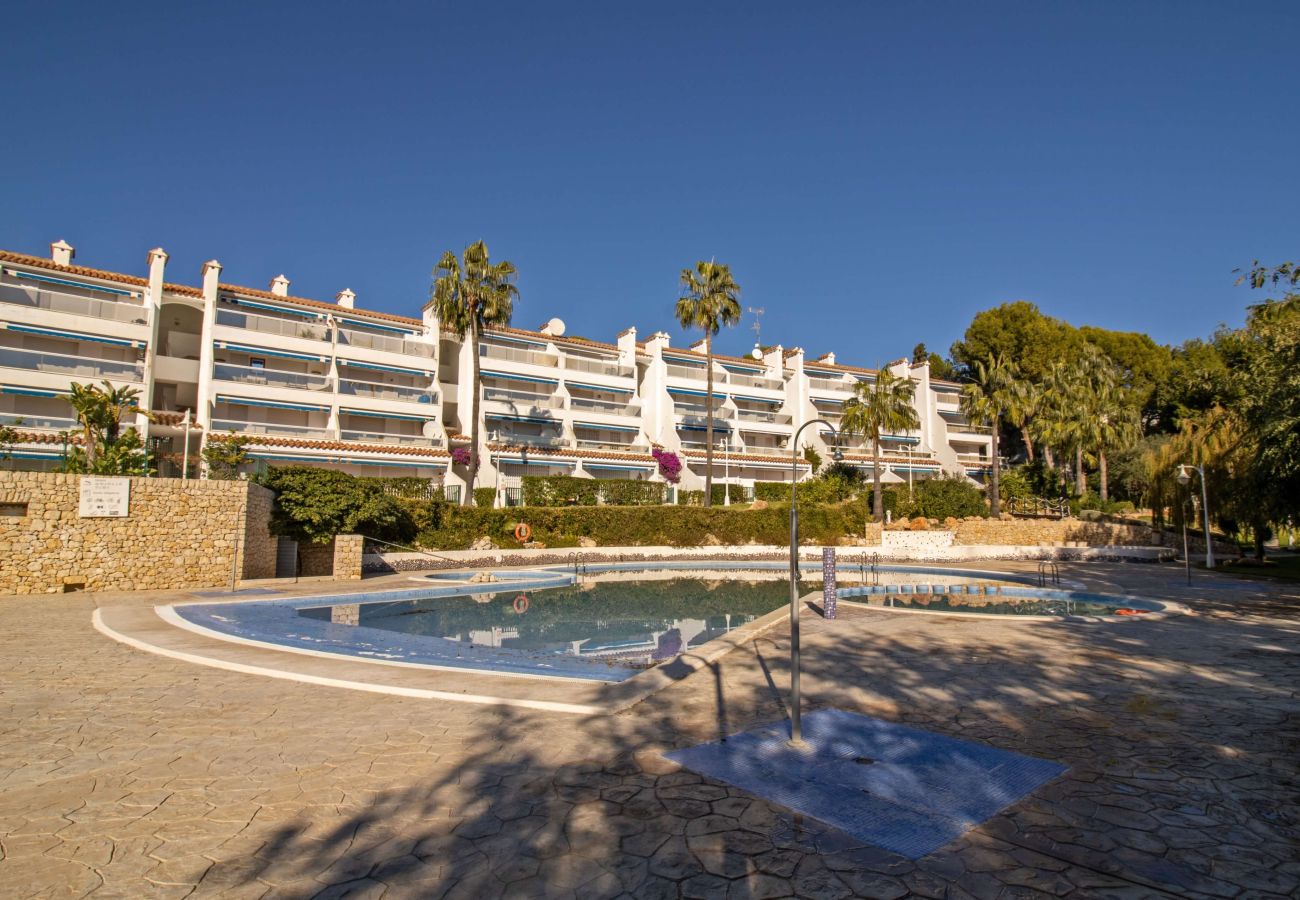 Apartment in Alcocebre / Alcossebre - Jardines del Puerto FRONTAL AL MAR Alcoceber