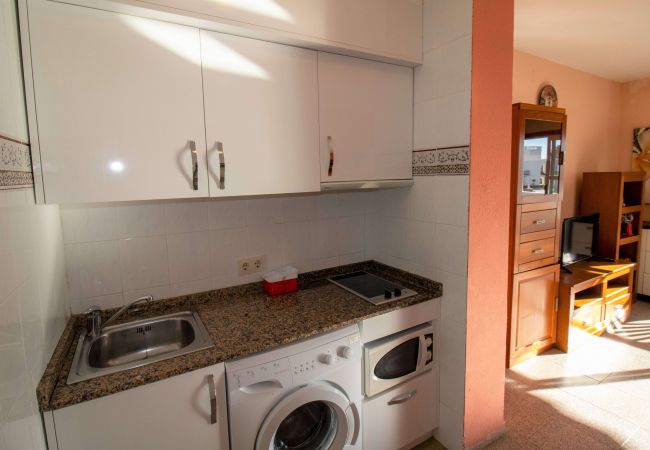 Apartment in Alcocebre / Alcossebre - Primera línea Playa Romana - Habitat 12