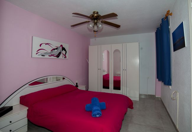 Apartment in Alcocebre / Alcossebre - LOS OLIVOS ATICO E Playa Cargador