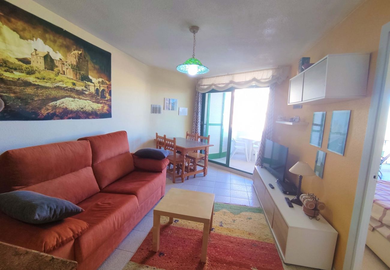 Apartment in Alcocebre / Alcossebre - Habitat 6B 14 PRIMERA LINEA Playa Romana