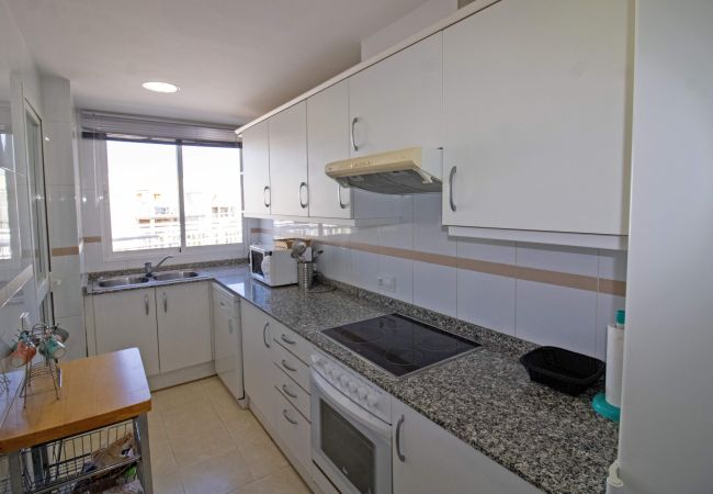 Apartment in Alcocebre / Alcossebre - Alcala Blau ATICO DUPLEX Alcoceber