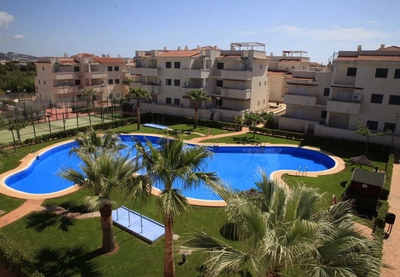 Apartment in Alcocebre / Alcossebre - Bajo con terraza ARENAS Urbanización familiar