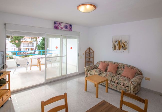 Apartment in Alcocebre / Alcossebre - PLAYA ROMANA a 200 metros de la playa