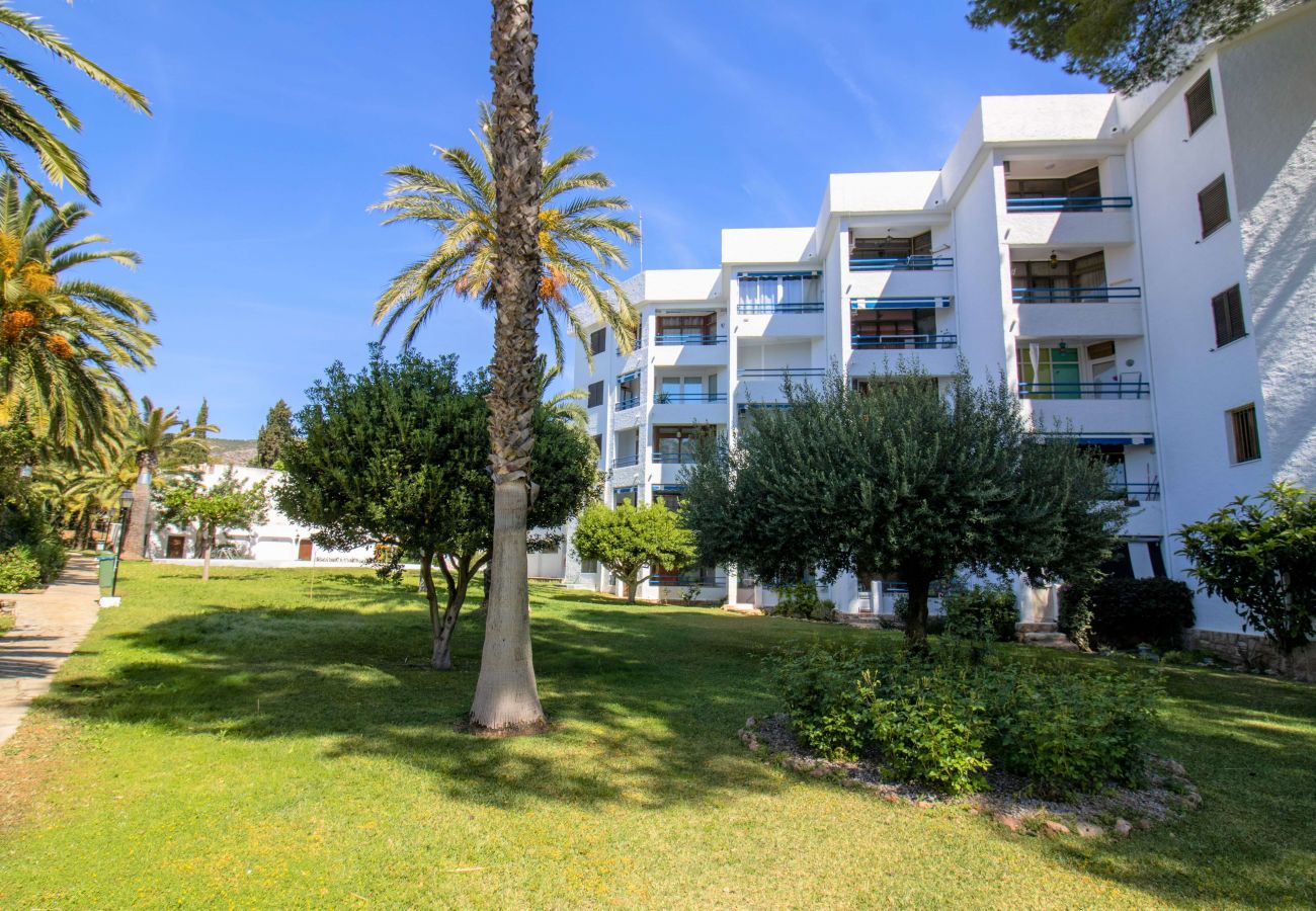 Studio in Alcocebre / Alcossebre - Playa las Fuentes - Estudio con piscina