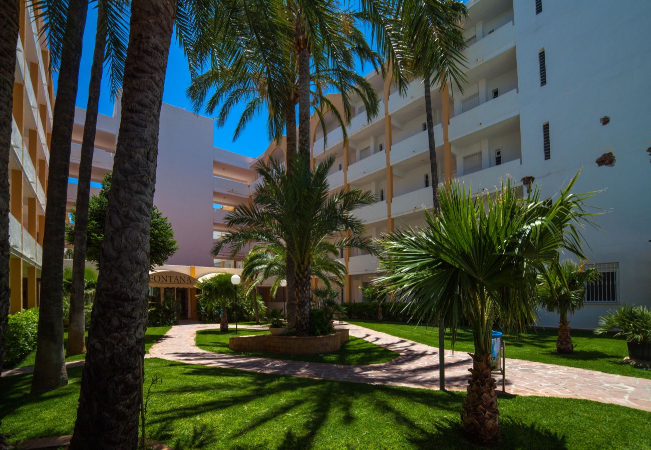 Apartment in Alcocebre / Alcossebre - Apartamento frontal al mar - LAS FUENTES