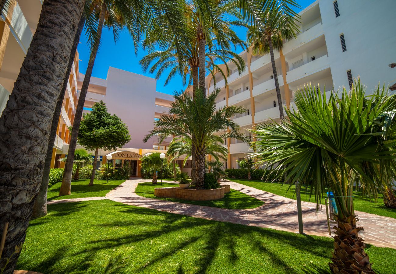 Apartment in Alcocebre / Alcossebre - Apartamento frontal al mar - LAS FUENTES