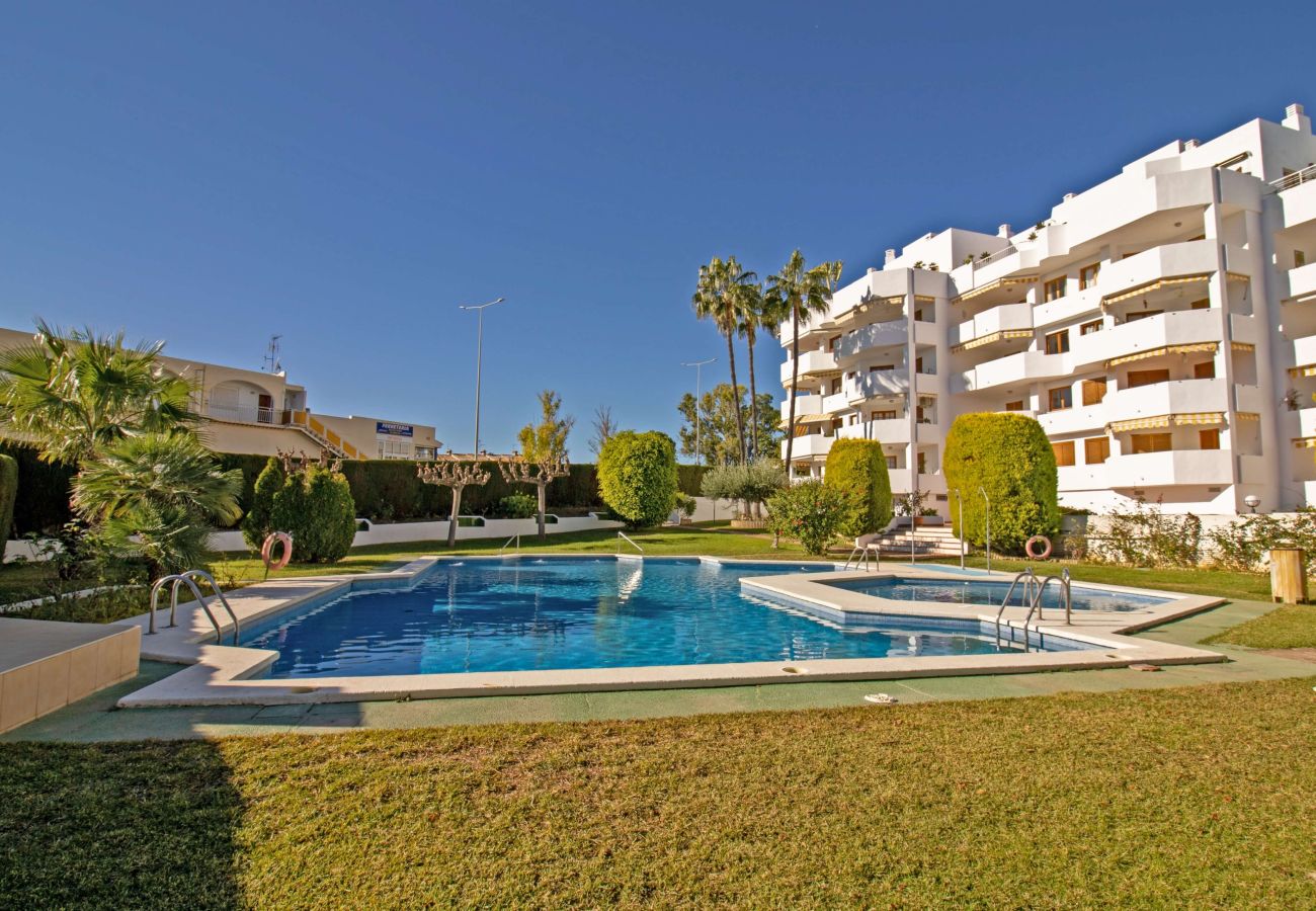 Apartment in Alcocebre / Alcossebre - Apartamento Meridia - Playa las Fuentes