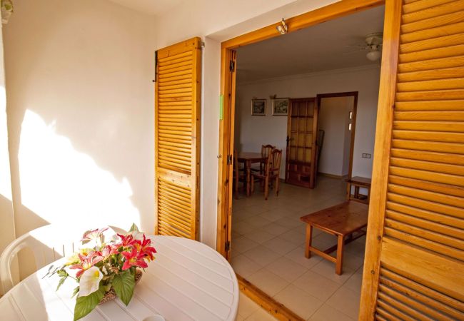Apartment in Alcocebre / Alcossebre - Atico a 50 metros del mar - Los Hibiscus