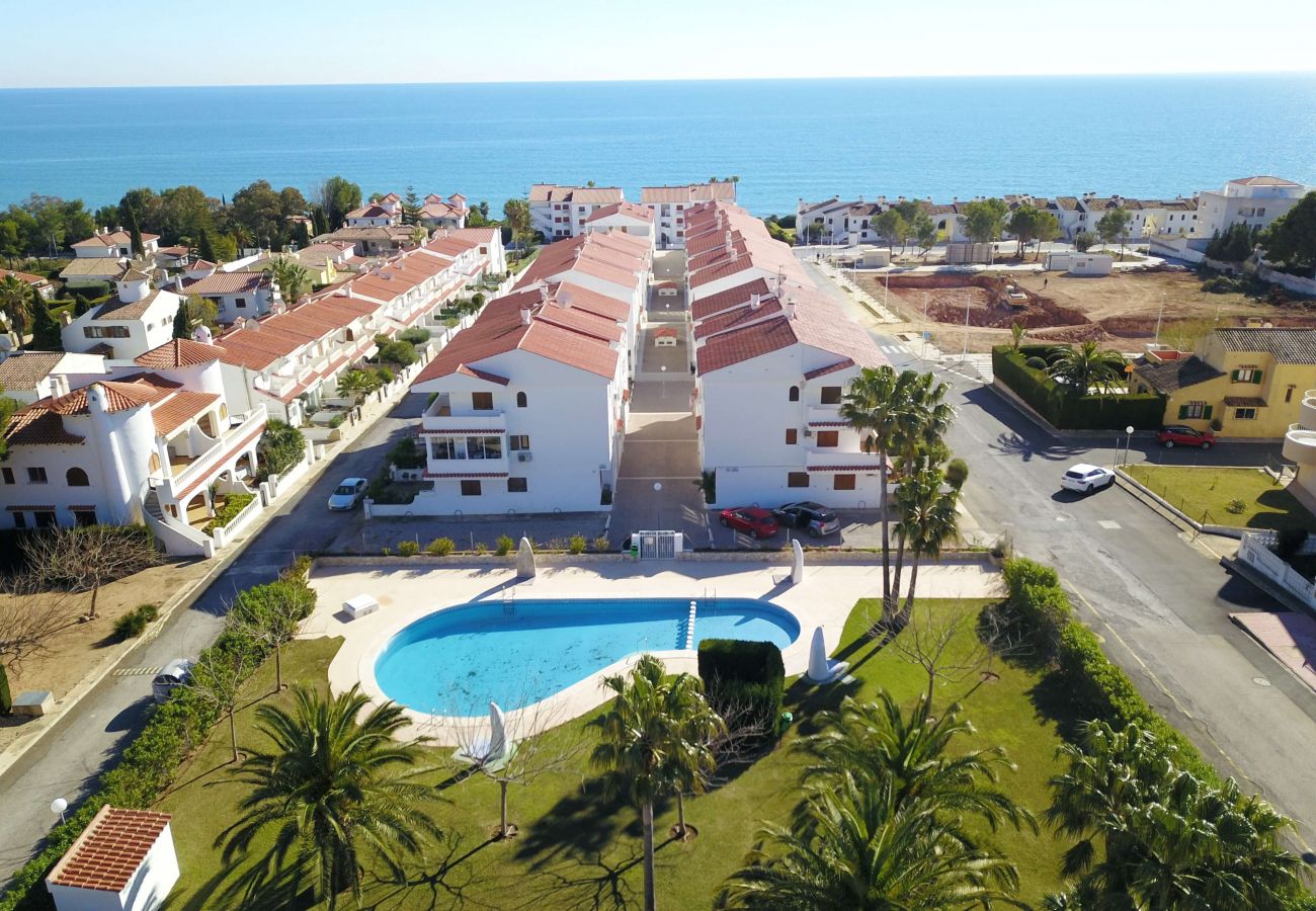 Apartment in Alcocebre / Alcossebre - Apartamento con piscina HIBISCUS Las Fuentes