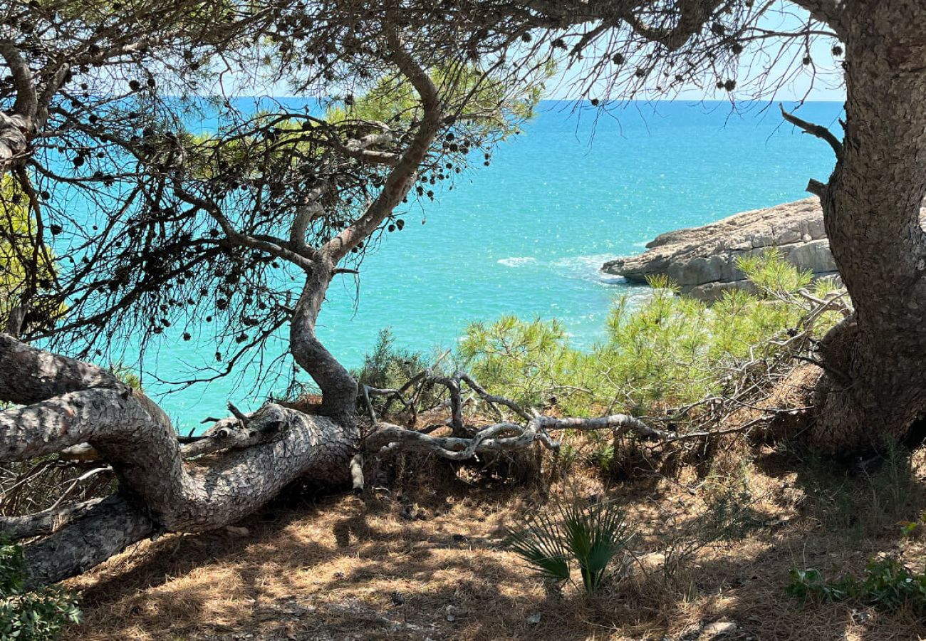 Apartment in Alcocebre / Alcossebre - TERRAZA AZUL - Atico con vistas al mar