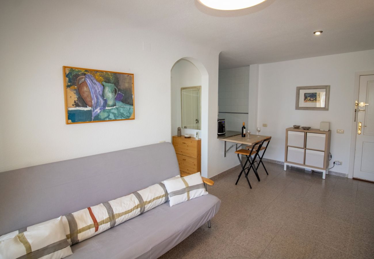 Apartment in Alcocebre / Alcossebre - Playa Cargador - Apartamento con piscina PALMERAL
