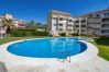 Apartment in Alcoceber / Alcossebre - Playa Cargador - Apartamento con piscina PALMERAL