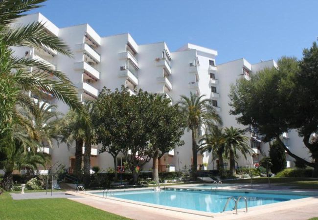 Apartment in Alcocebre / Alcossebre - Marina Apartamento con vistas al mar