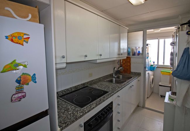 Apartment in Alcocebre / Alcossebre - Apartamento FRONTAL al mar IRTA PLAYA