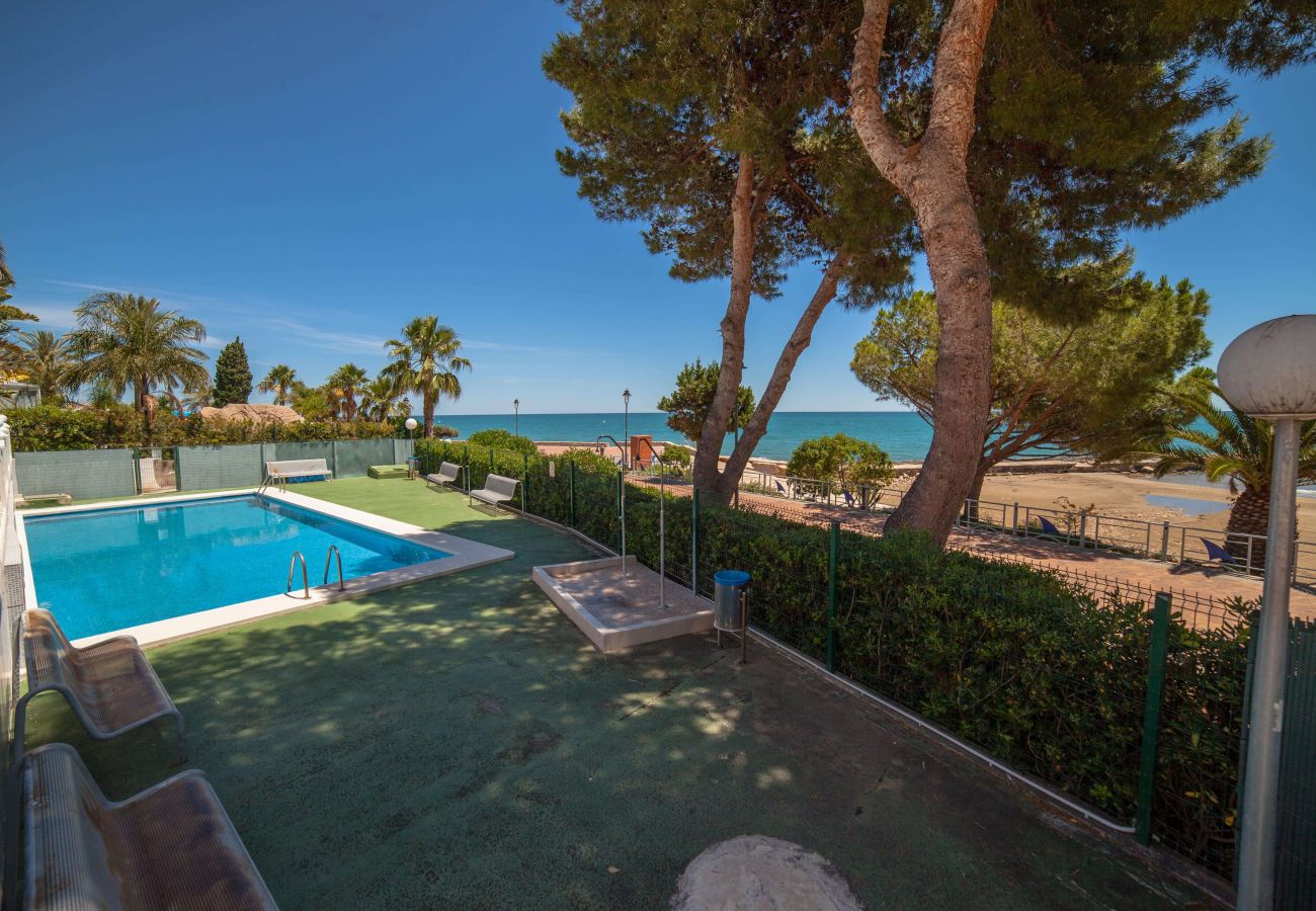 Apartment in Alcocebre / Alcossebre - Planta baja con jardín privado - Primera línea