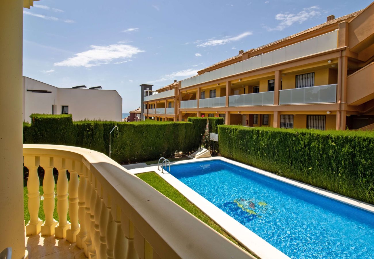 Apartment in Alcocebre / Alcossebre - Planta baja frente a la piscina - Madeira