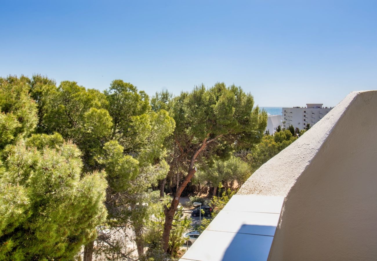 Apartment in Alcocebre / Alcossebre - Atico en el Mediterráneo - Playa las Fuentes