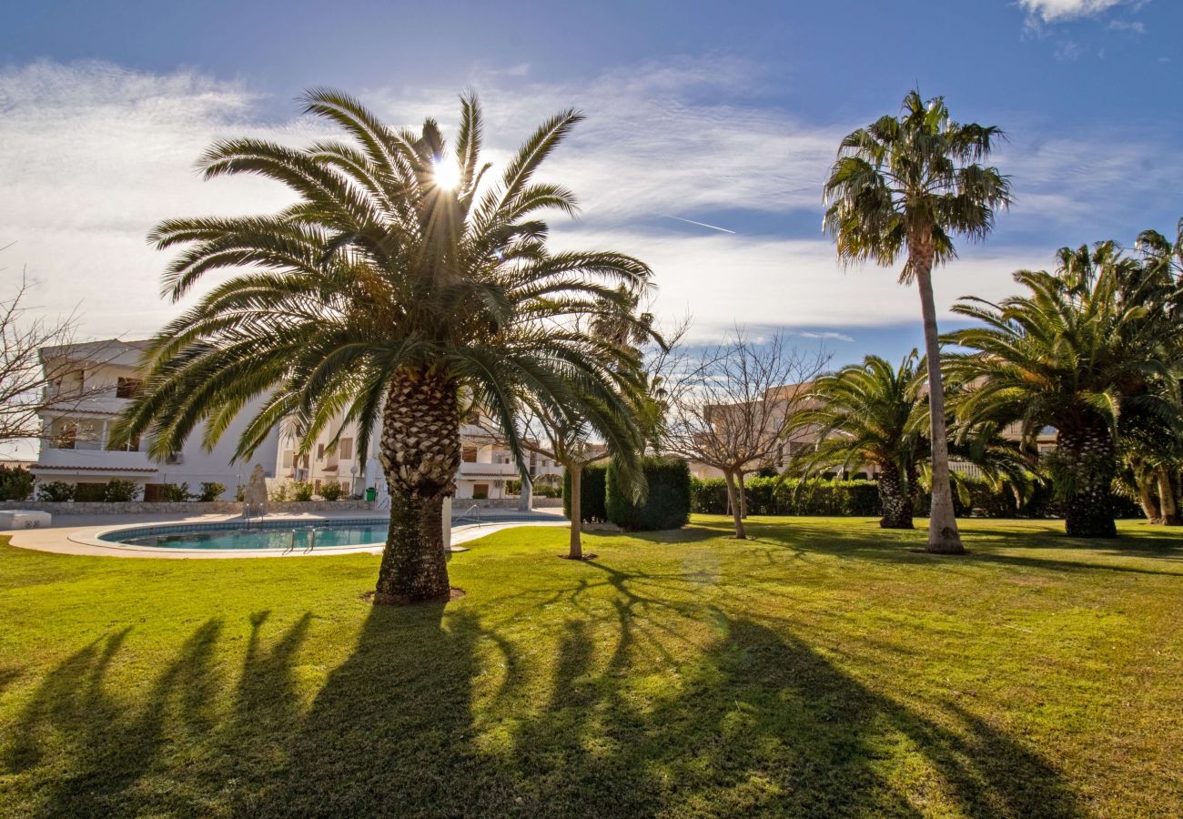 Apartment in Alcocebre / Alcossebre - Hibiscus - Apartamento superior con vistas al mar