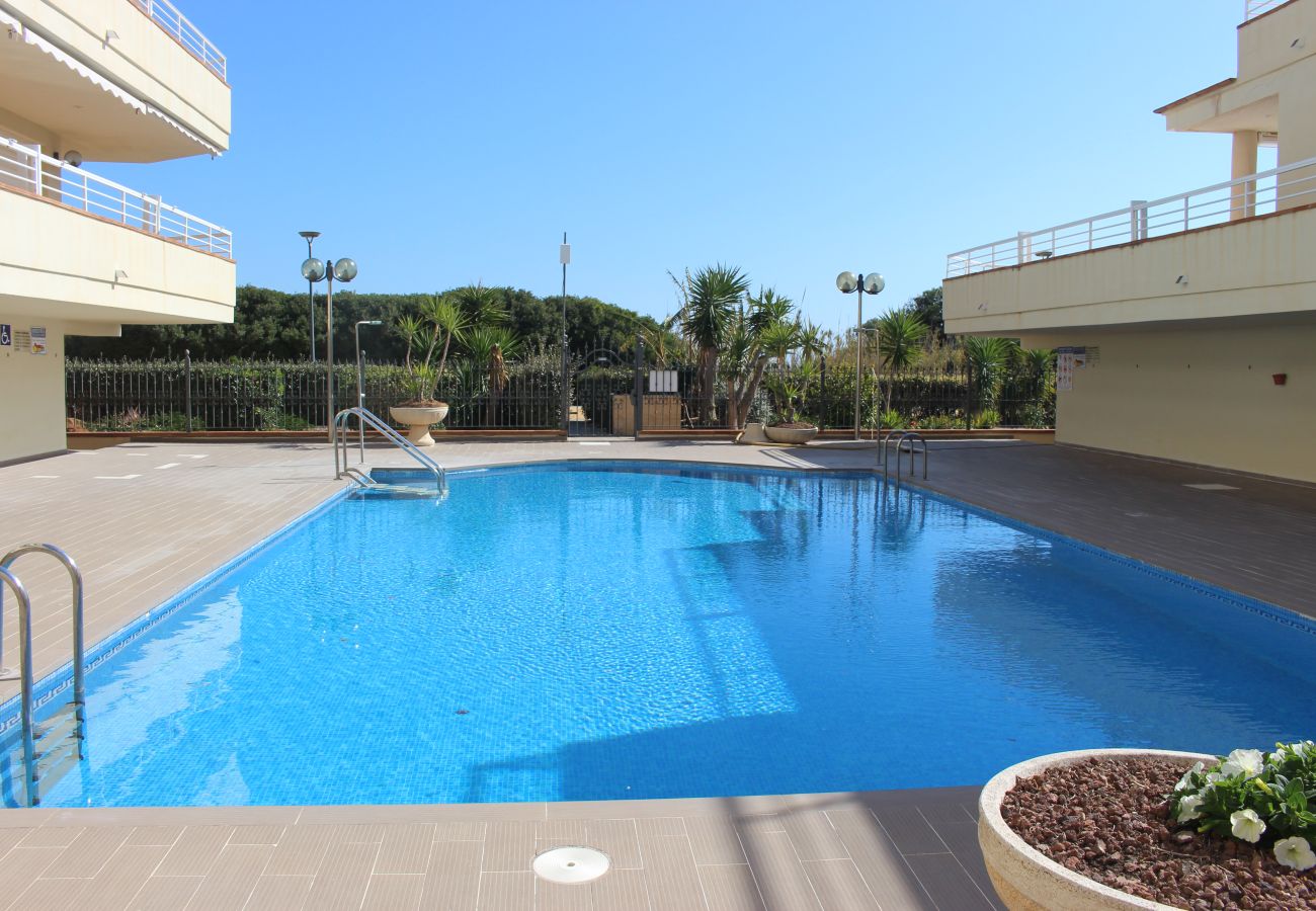 Apartment in Alcocebre / Alcossebre - Cala Montero - Apartamento en primera línea