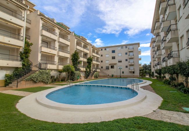 Appartement à Alcocebre / Alcossebre - PRIMERA LÍNEA PLAYA CARGADOR - Playamar 1021