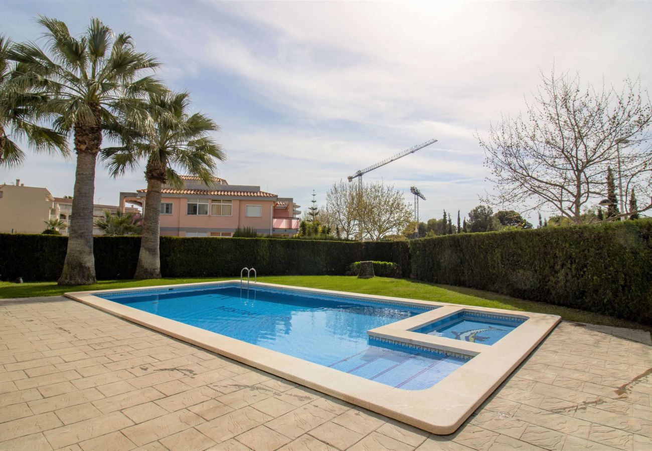 Appartement à Alcocebre / Alcossebre - Apartamento moderno céntrico - MESTRAL ALCOCEBRE