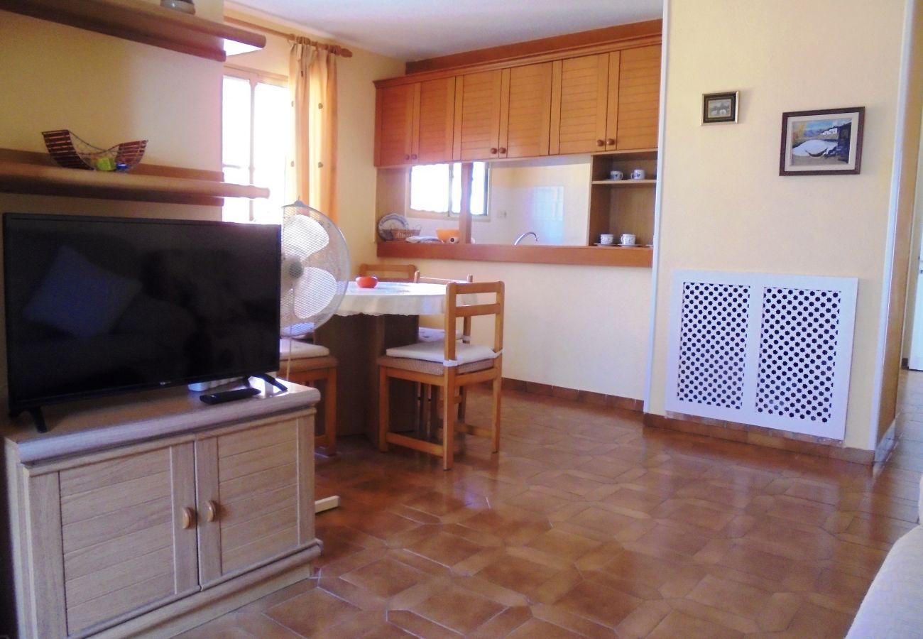 Appartement à Peñiscola - La Palmera Nº 12