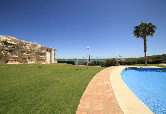 Appartement à Alcocebre / Alcossebre - ALCALA BLAU ático 141 Playa del Moro Alcoceber